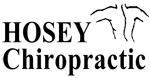 logo small trans hosey chiropractic